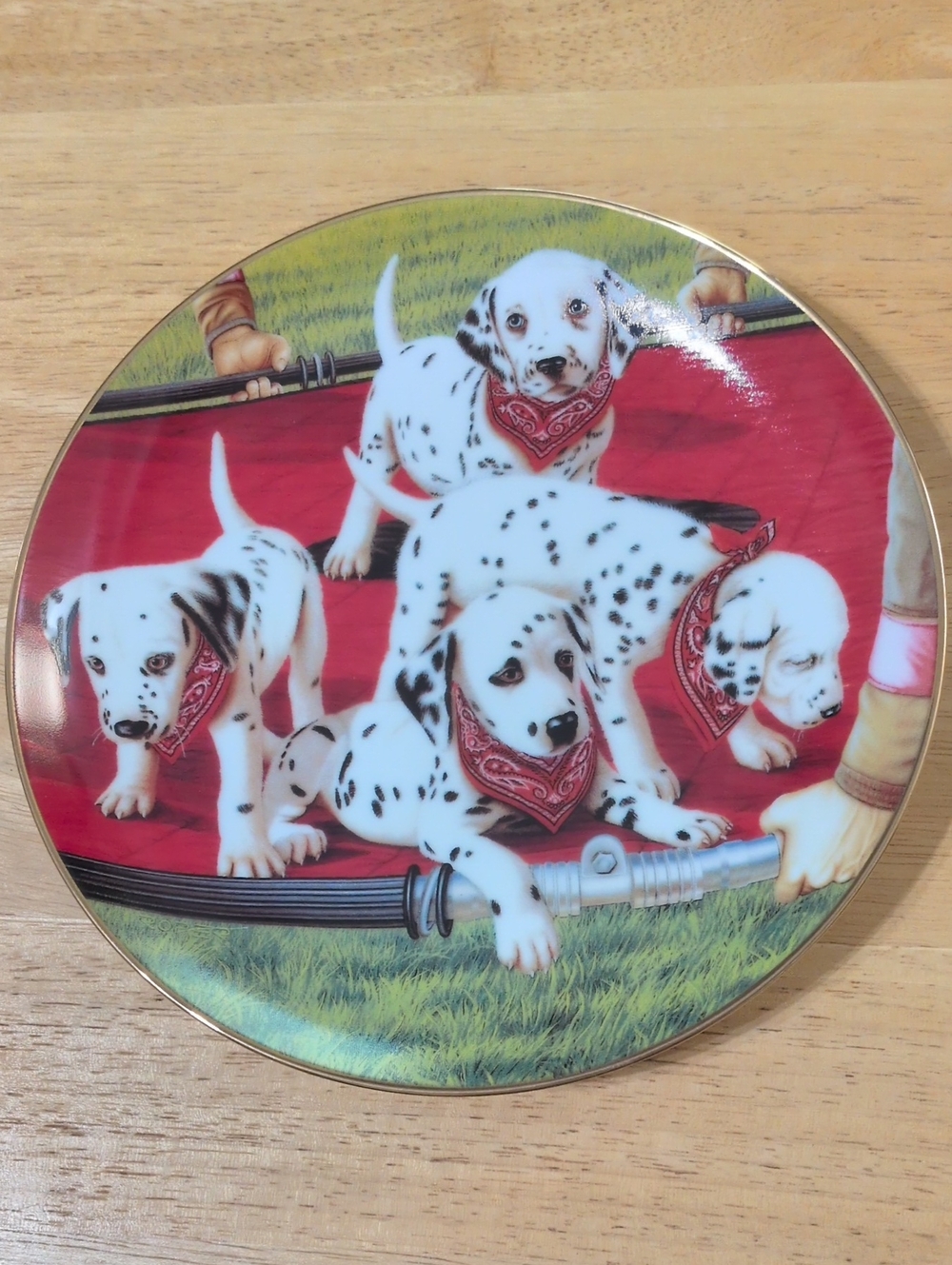 Danbury Mint Jump Drill Dalmatian Plate
